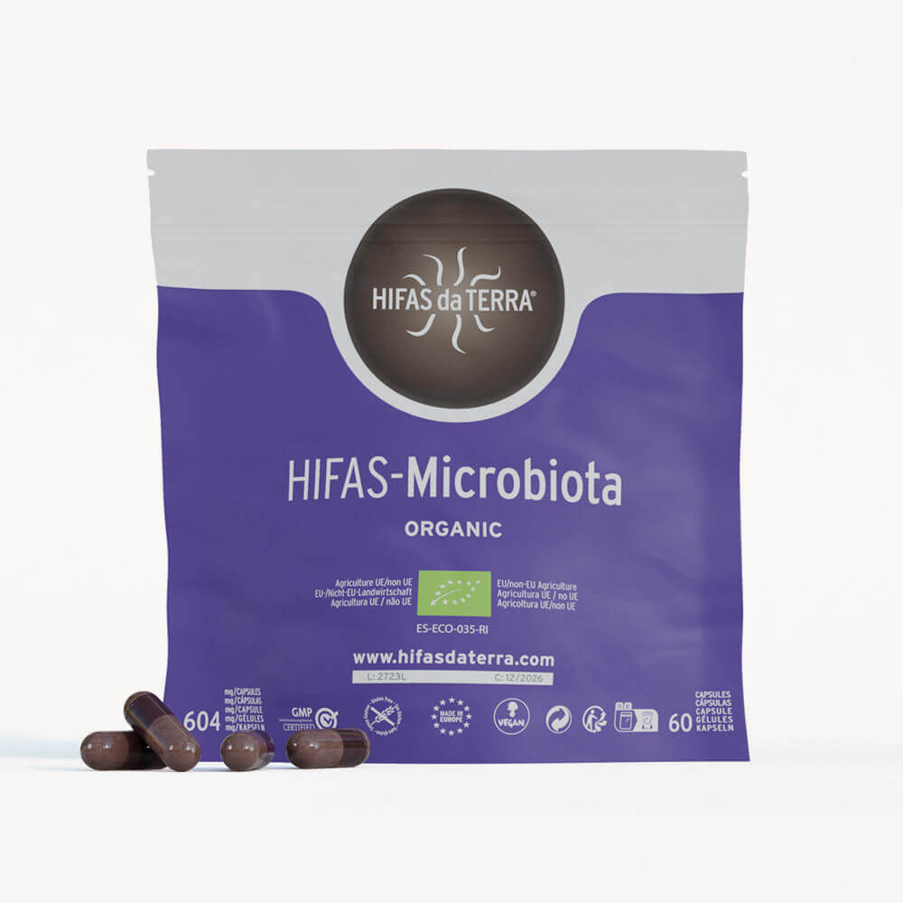 Diverse group of functional mushrooms including dried Reishi and Chaga chunks.