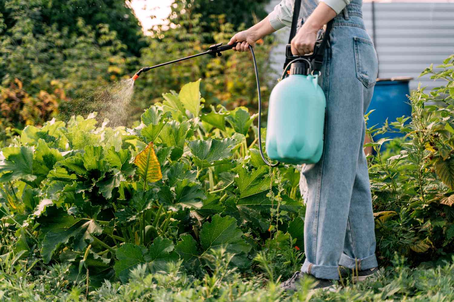 A woman spraying plants with chemicals to illustrate the concept of unregulated substance exposure.