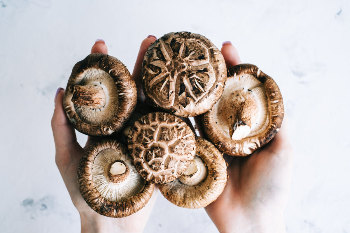 8 Best Mushroom Supplements for Focus & Health (2026)