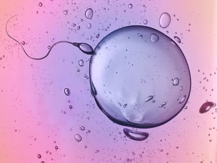 Graphic representation of sperm motility types including progressive and non-progressive movement.