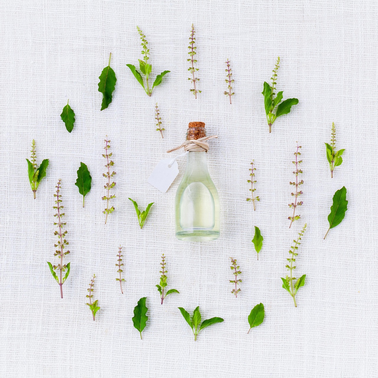 A glass dropper bottle with herbal liquid extract near green leaves