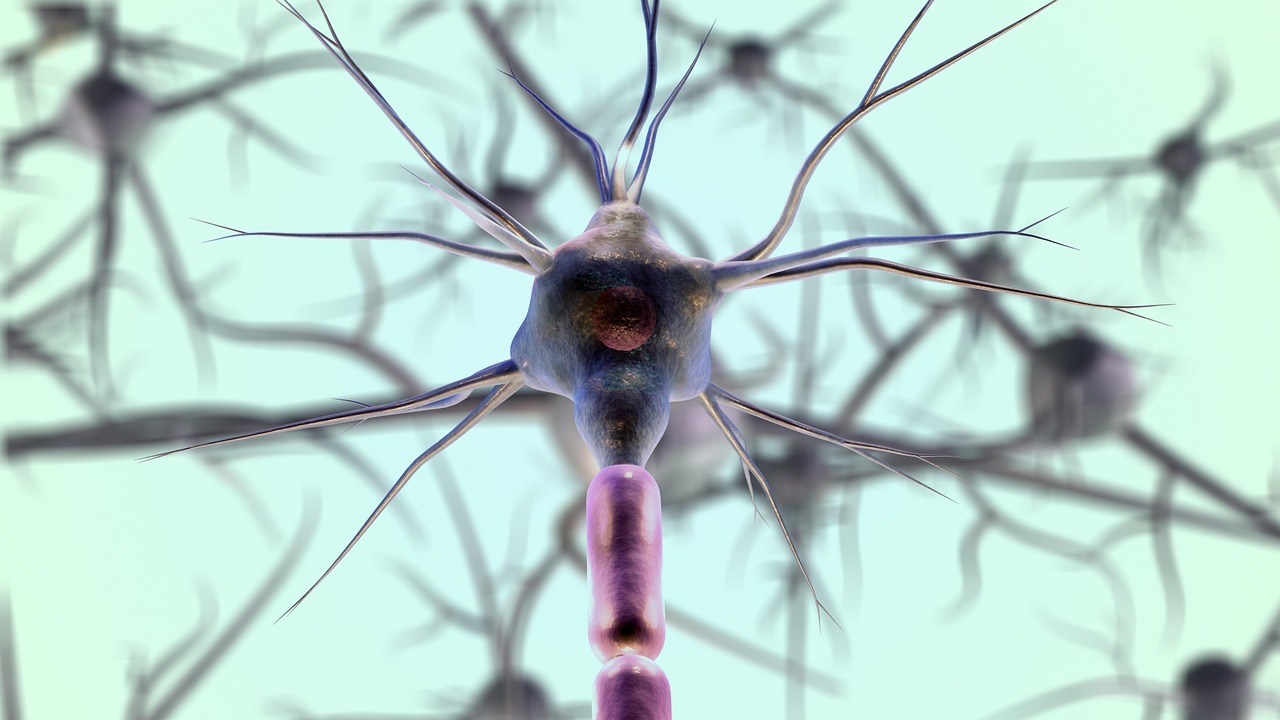 A stylized, gentle illustration of neural pathways and cognitive connections.
