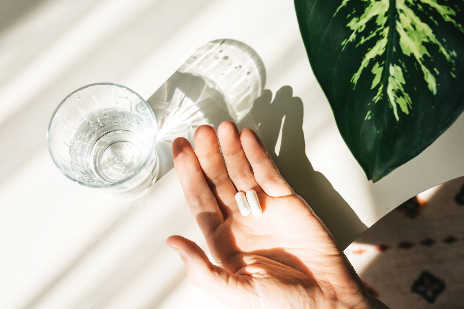 Guide to Muscle Preservation on GLP-1 Medications