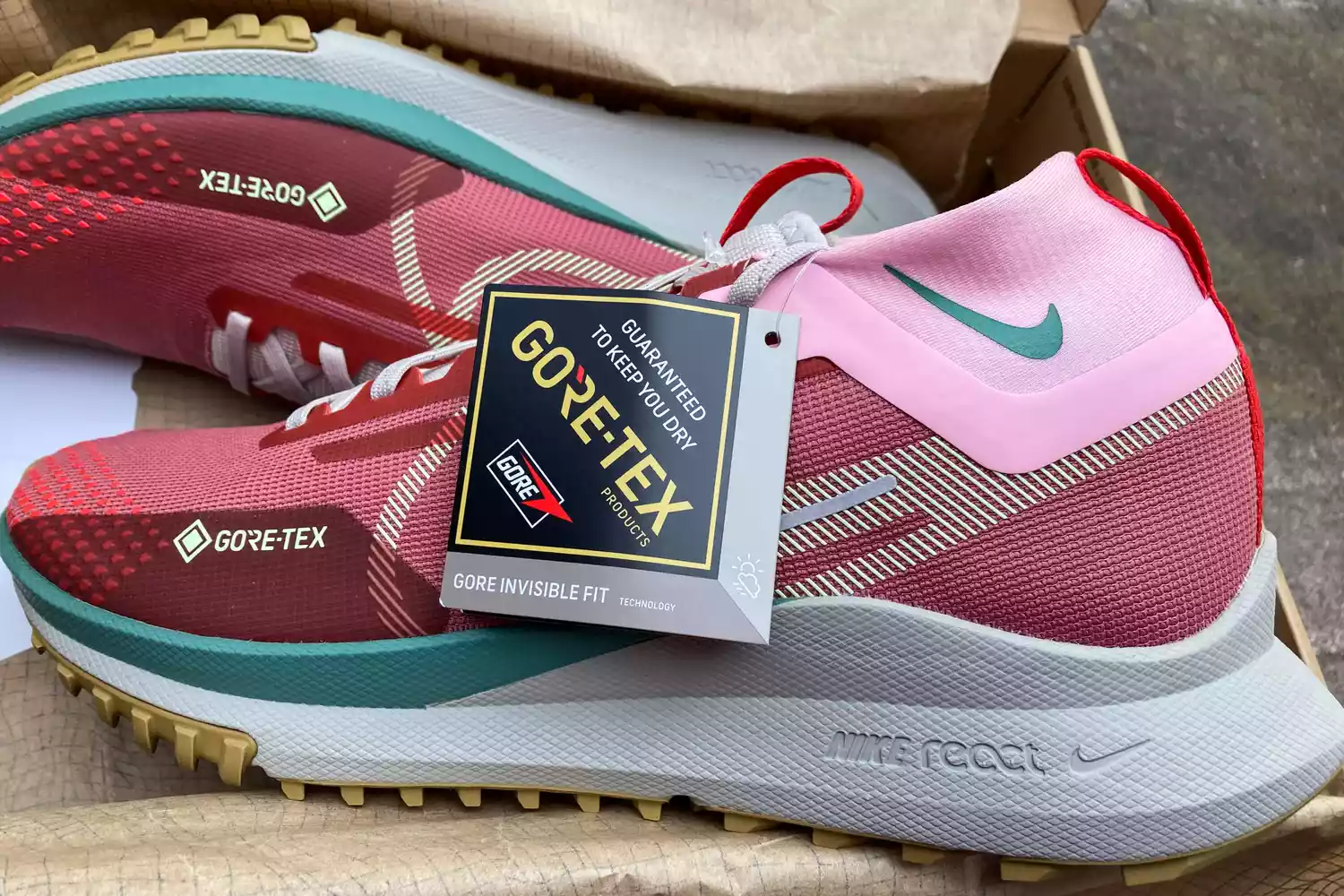 Close-up of a Nike trail shoe featuring the GORE-TEX branding tag.