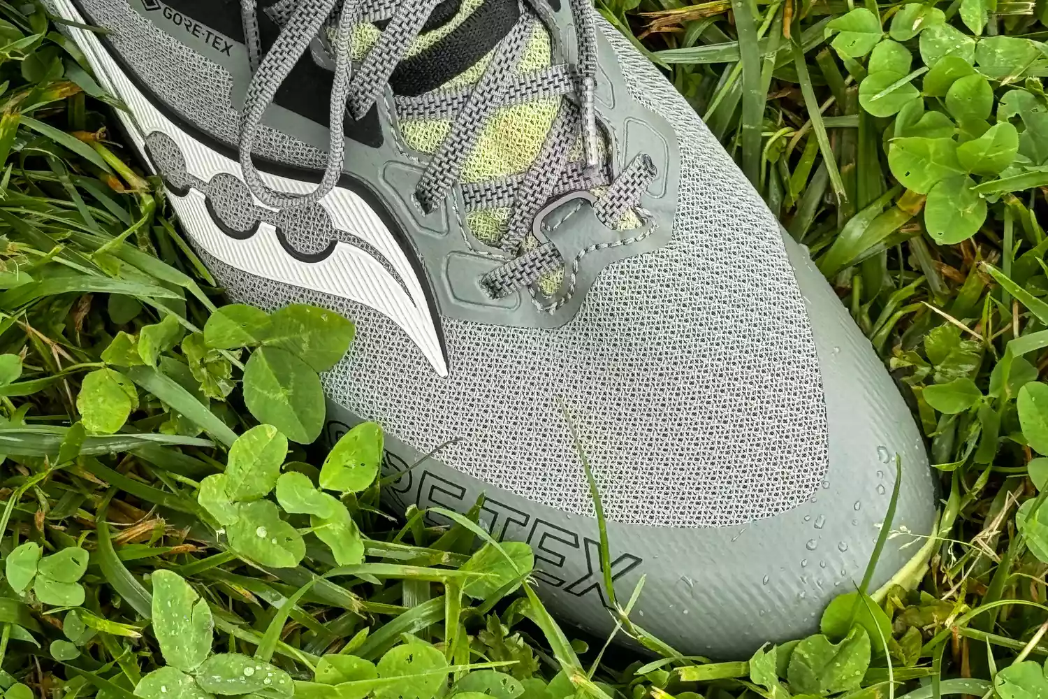 Close-up of a gray Saucony Peregrine 14 GTX on wet grass and clover.
