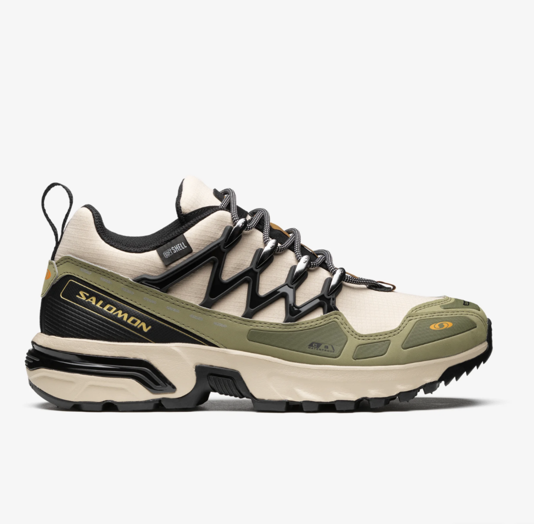 A pair of Salomon waterproof shoes designed for stability.